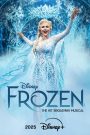 Frozen: The Hit Broadway Musical